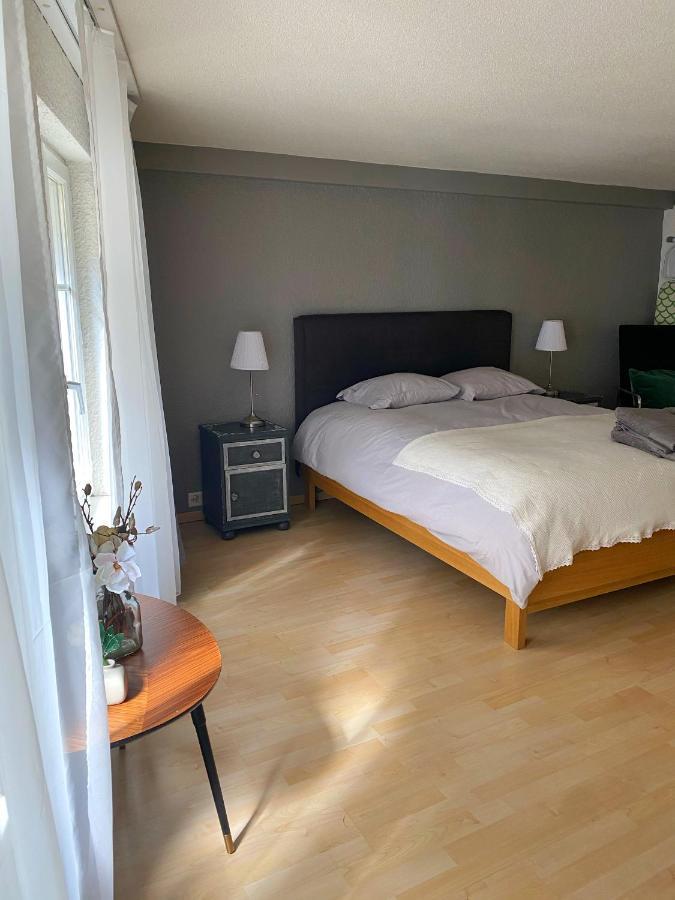 Studio Sieva Apartment Lausanne Ngoại thất bức ảnh