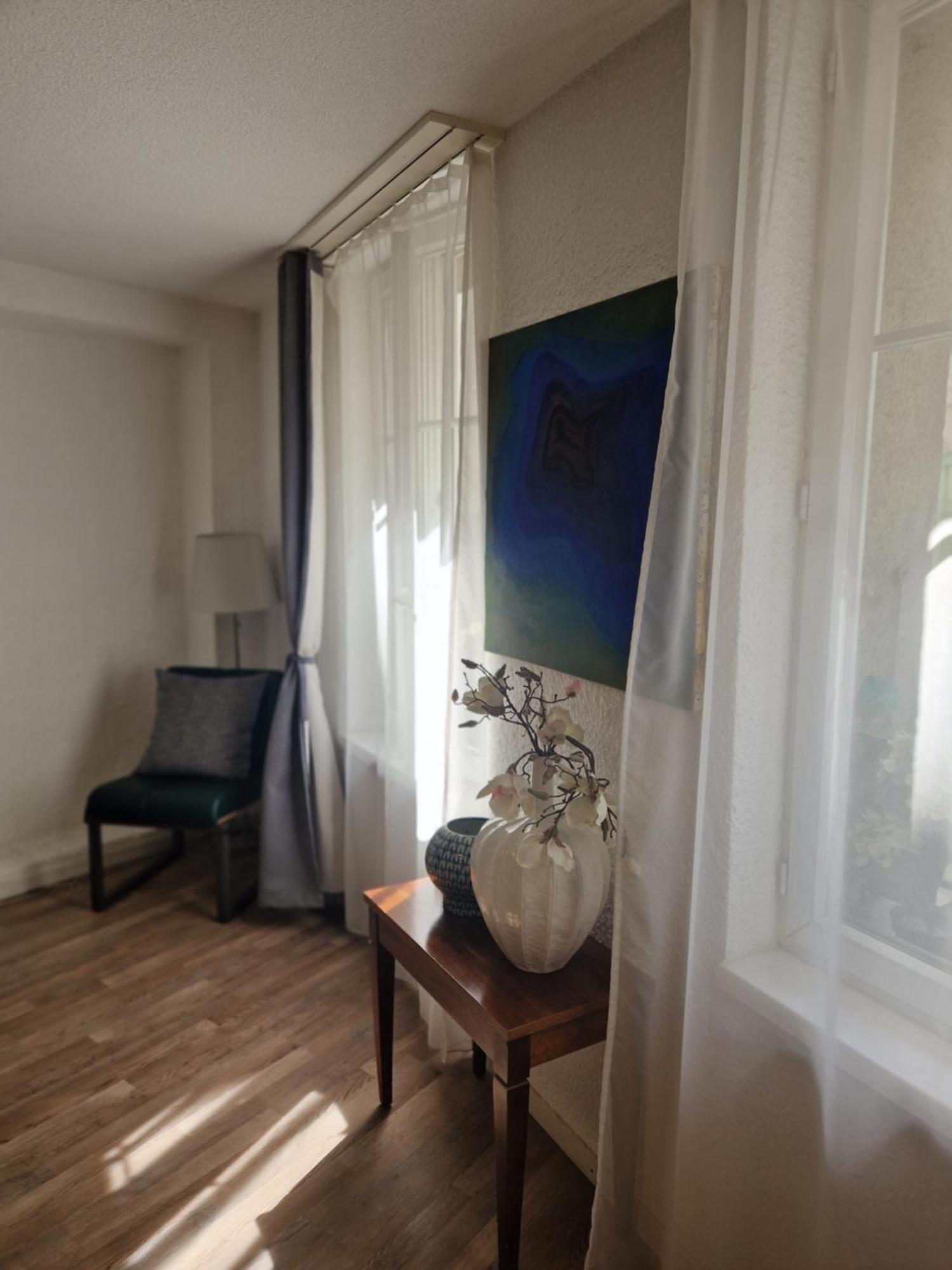 Studio Sieva Apartment Lausanne Ngoại thất bức ảnh